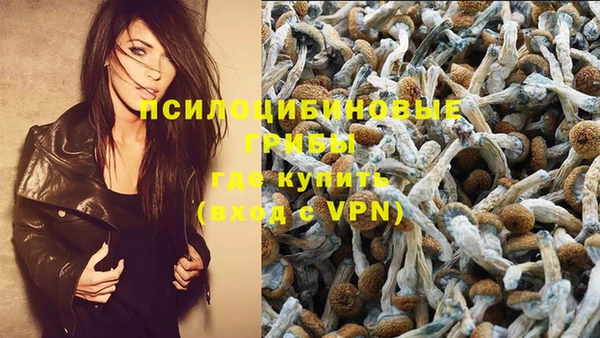 МДПВ Магадан