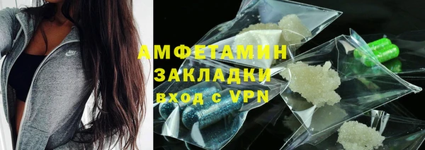 шишки Апатиты