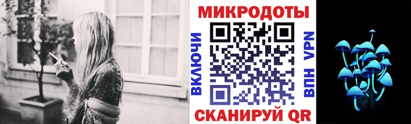 Псилоцибиновые грибы прущие грибы  mega ССЫЛКА  Карасук 