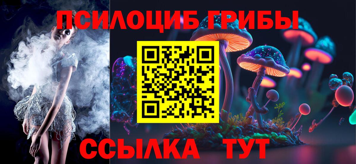 Псилоцибиновые грибы Psilocybine cubensis  Вход с VPN  Галлюциногенные грибы Psilocybe  Карасук 